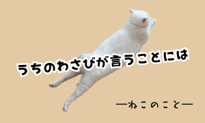 うちのわさびが言うことには