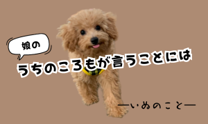 “娘の”うちのころもが言うことには